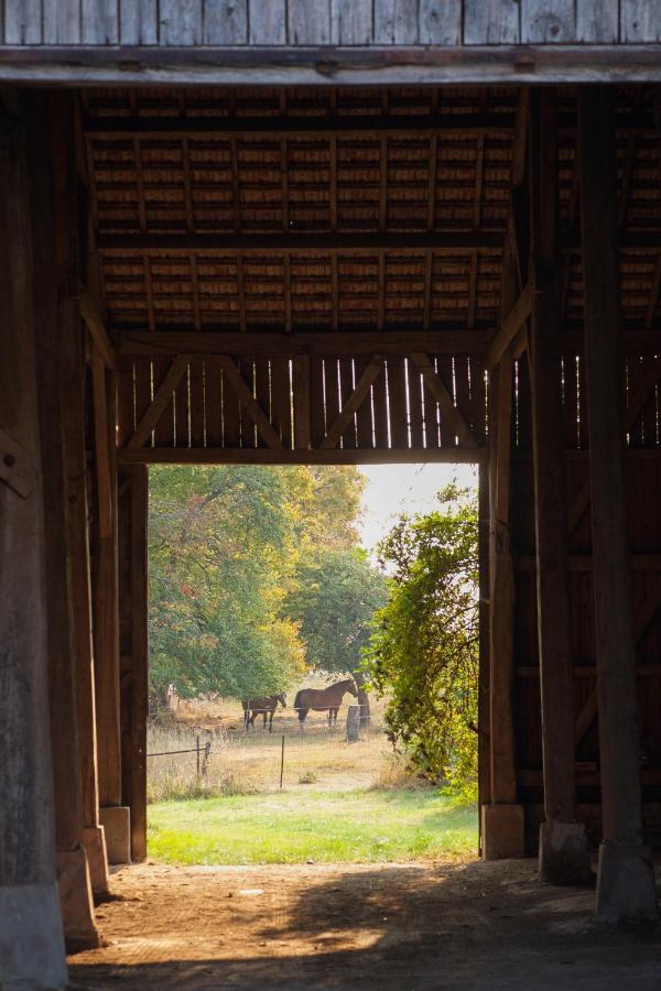 Chambre D'Hotes Fantesstique Berzieux エクステリア 写真